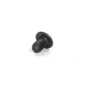 camber eccentric screw