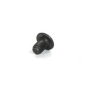 camber eccentric screw