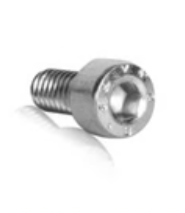 Screw of caster under spindle